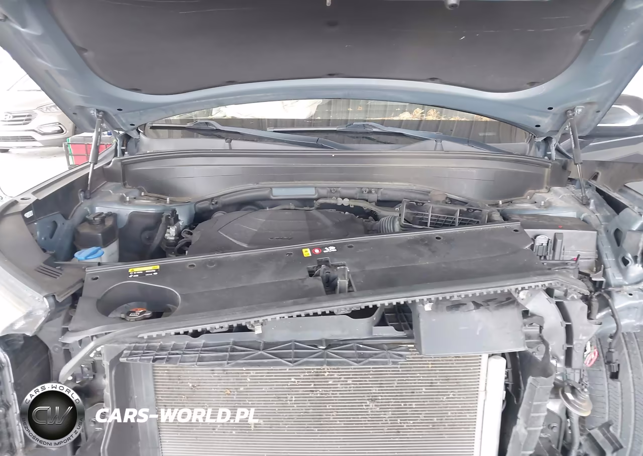 2020 Hyundai Palisade Sel VIN:KM8R44HE4LU073741 - 10
