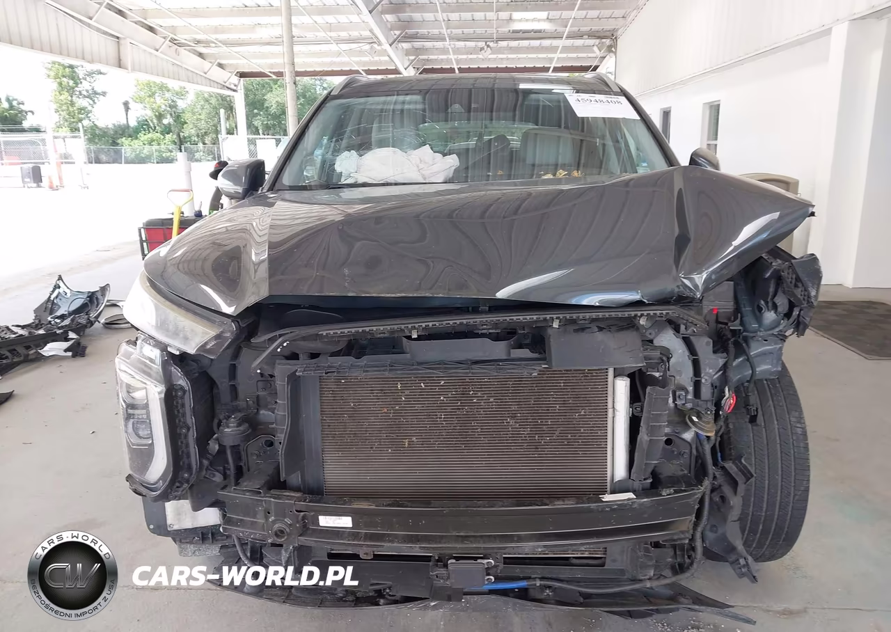 2020 Hyundai Palisade Sel VIN:KM8R44HE4LU073741 - 12
