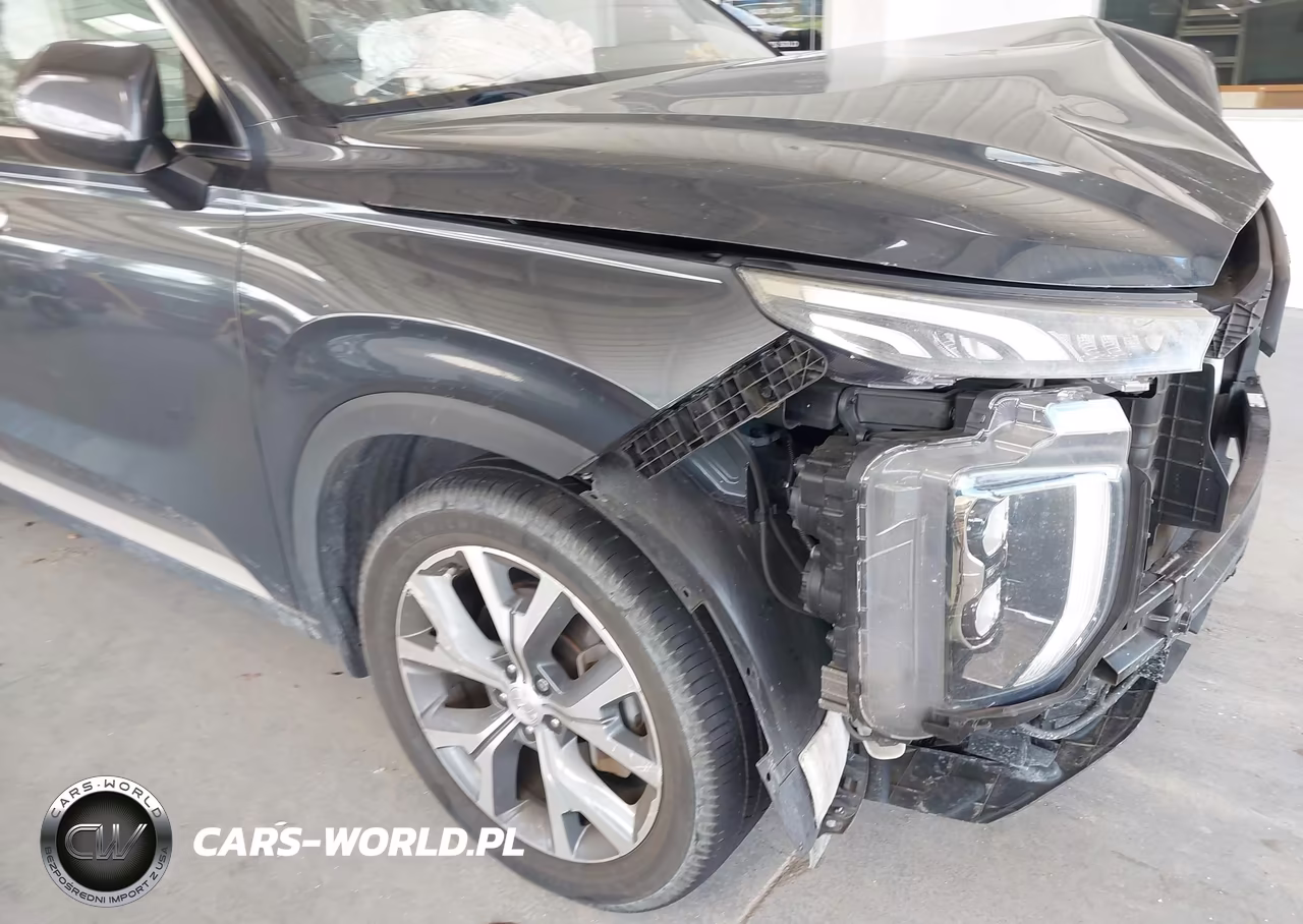 2020 Hyundai Palisade Sel VIN:KM8R44HE4LU073741 - 6