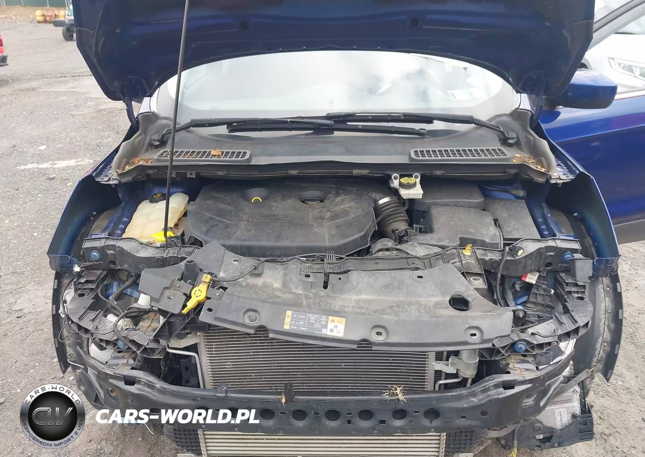 2014 Ford Escape Se VIN:1FMCU9G91EUE19092 - 10