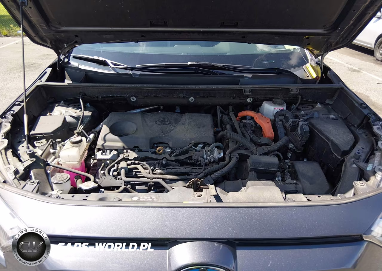2024 Toyota Rav4 Hybrid Xle VIN:2T3RWRFV7RW209225 - 10
