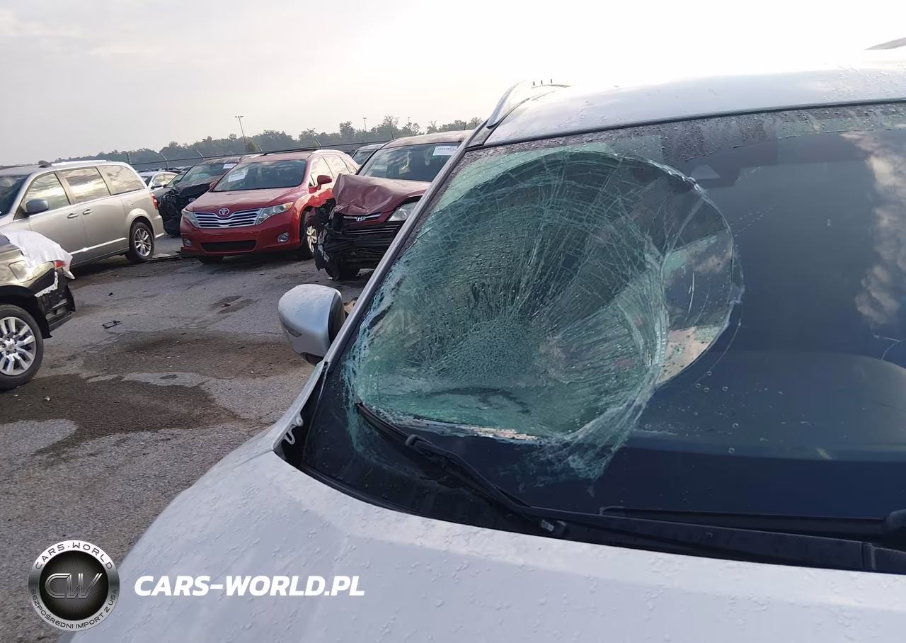 2019 Nissan Rogue Sv VIN:KNMAT2MT7KP528642 - 17