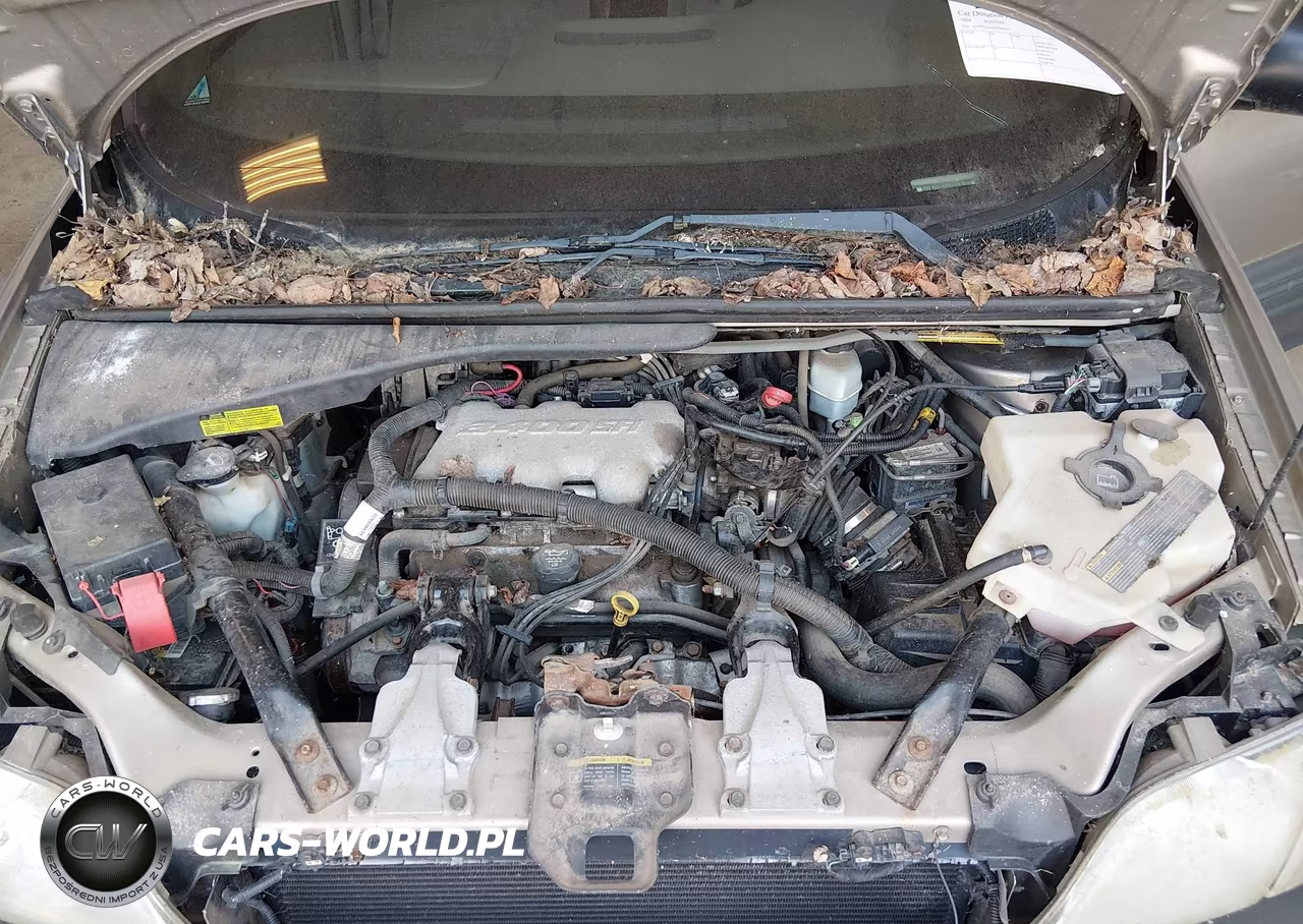 2004 Pontiac Montana M16 W-1Sa Pkg. VIN:1GMDX03E64D160365 - 10