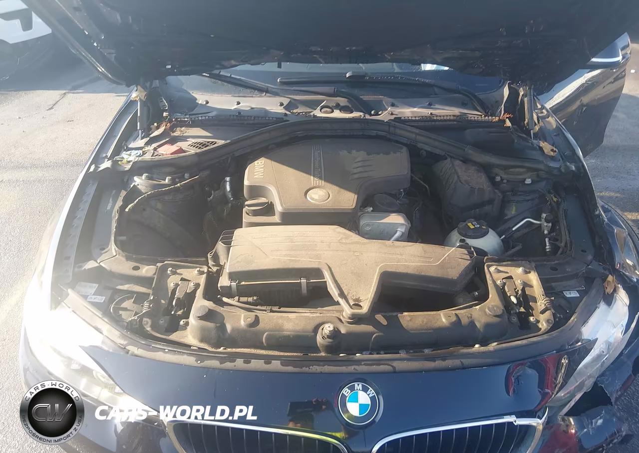 2016 BMW 428I Gran Coupe xDrive VIN:WBA4C9C55GG140838 - 10