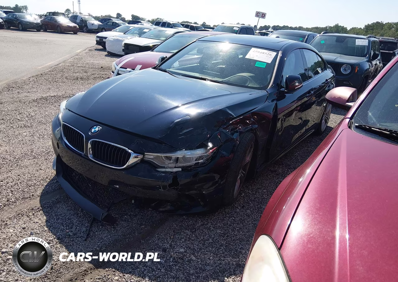 2016 BMW 428I Gran Coupe xDrive VIN:WBA4C9C55GG140838 - 2
