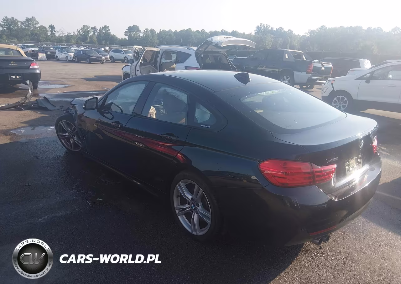 2016 BMW 428I Gran Coupe xDrive VIN:WBA4C9C55GG140838 - 3