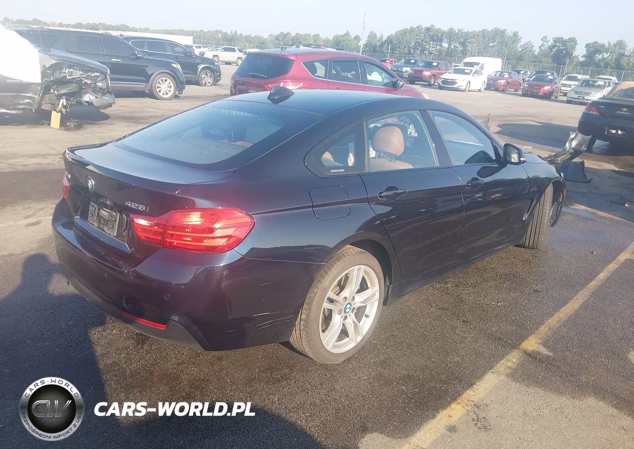 2016 BMW 428I Gran Coupe xDrive VIN:WBA4C9C55GG140838 - 4