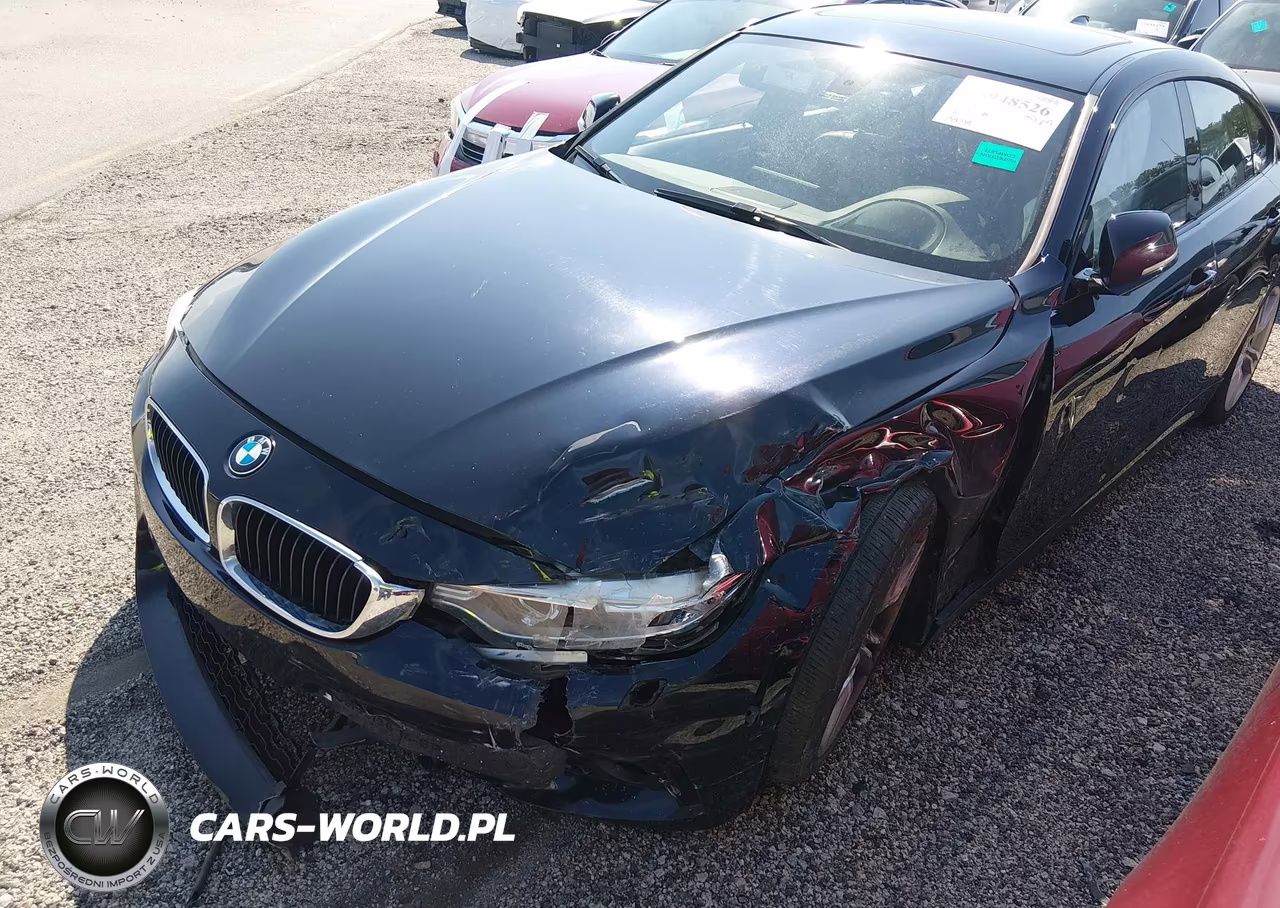 2016 BMW 428I Gran Coupe xDrive VIN:WBA4C9C55GG140838 - 6