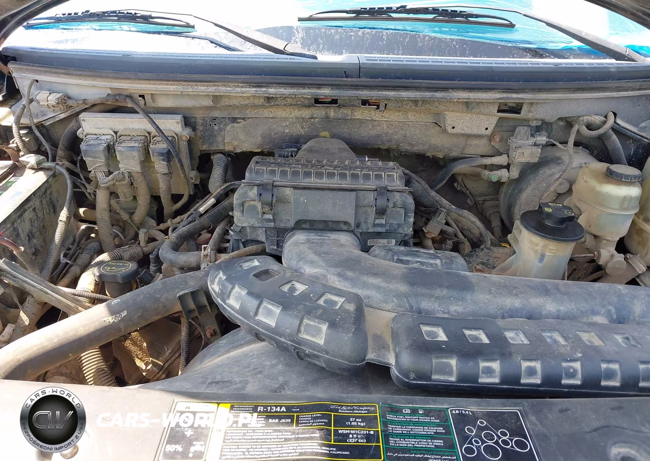 2004 Ford F-150 Fx4-Lariat-Xl-Xlt VIN:1FTPX14554NA26317 - 10