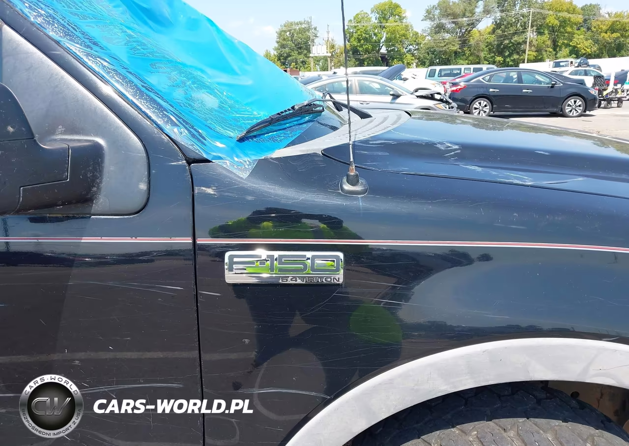 2004 Ford F-150 Fx4-Lariat-Xl-Xlt VIN:1FTPX14554NA26317 - 12