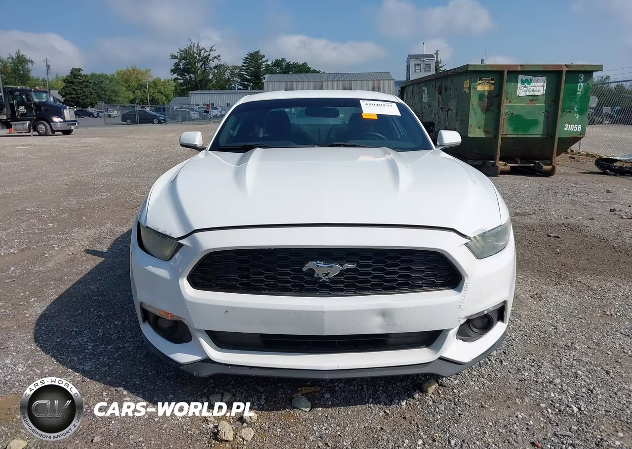 2015 Ford Mustang V6 VIN:1FA6P8AM1F5337011 - 13