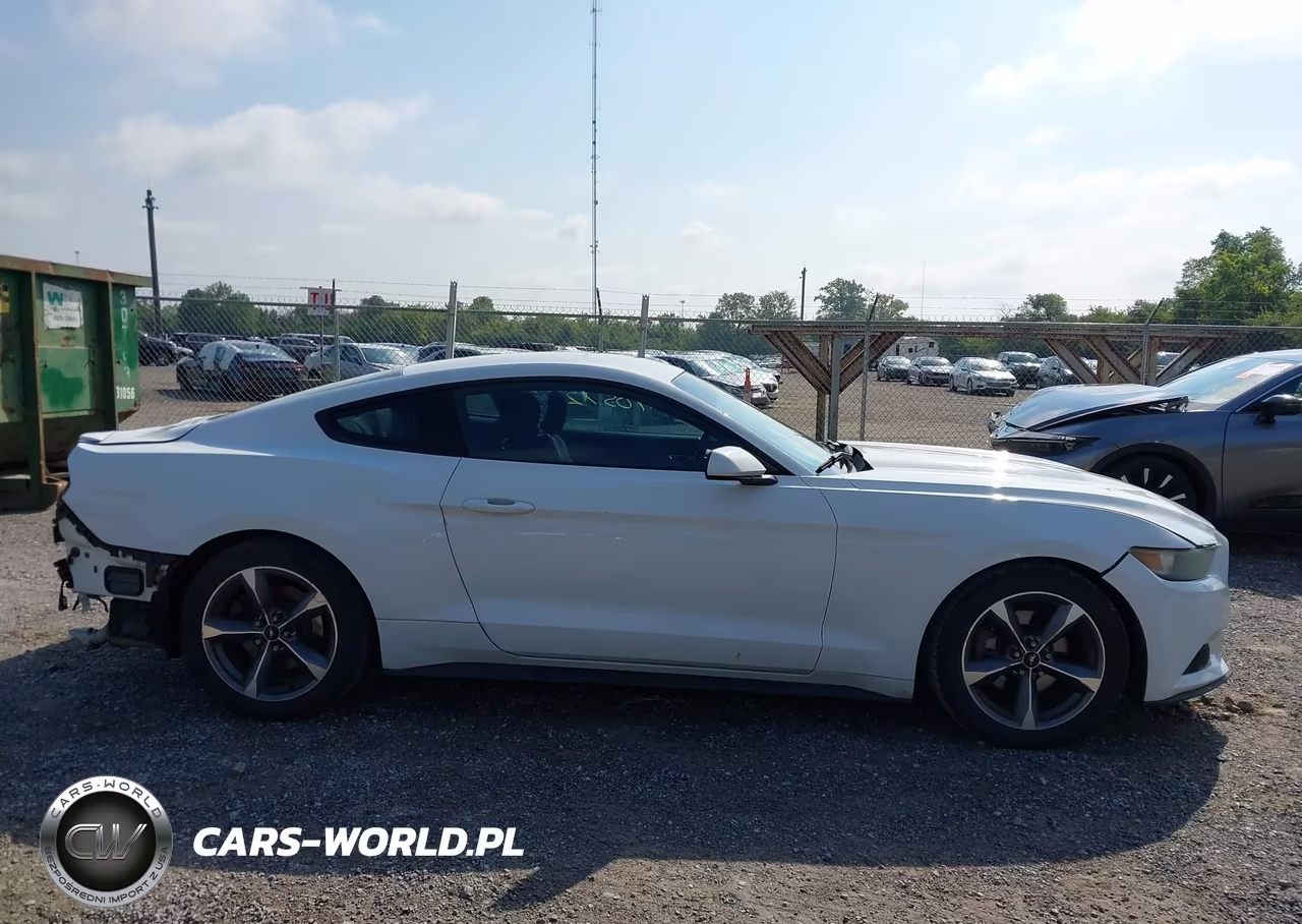 2015 Ford Mustang V6 VIN:1FA6P8AM1F5337011 - 14
