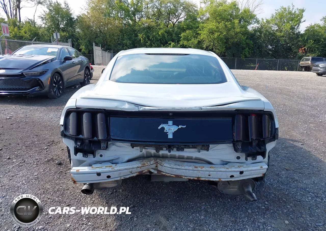 2015 Ford Mustang V6 VIN:1FA6P8AM1F5337011 - 17
