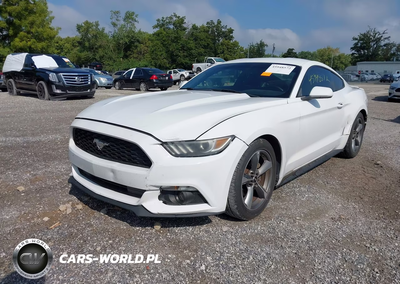 2015 Ford Mustang V6 VIN:1FA6P8AM1F5337011 - 2