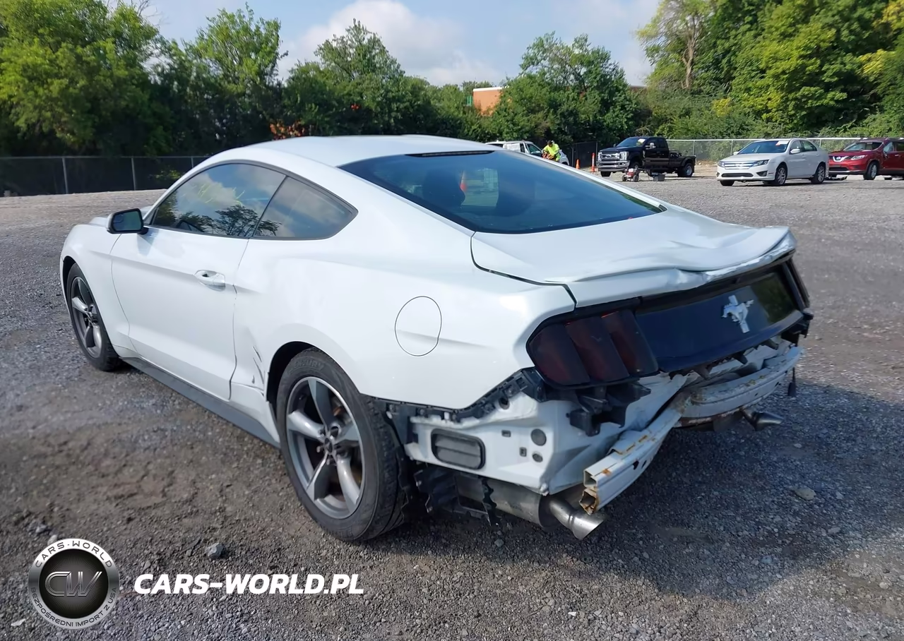 2015 Ford Mustang V6 VIN:1FA6P8AM1F5337011 - 3