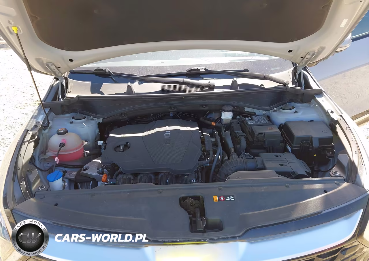 2023 Kia Sportage Sx VIN:5XYK43AF3PG078763 - 10
