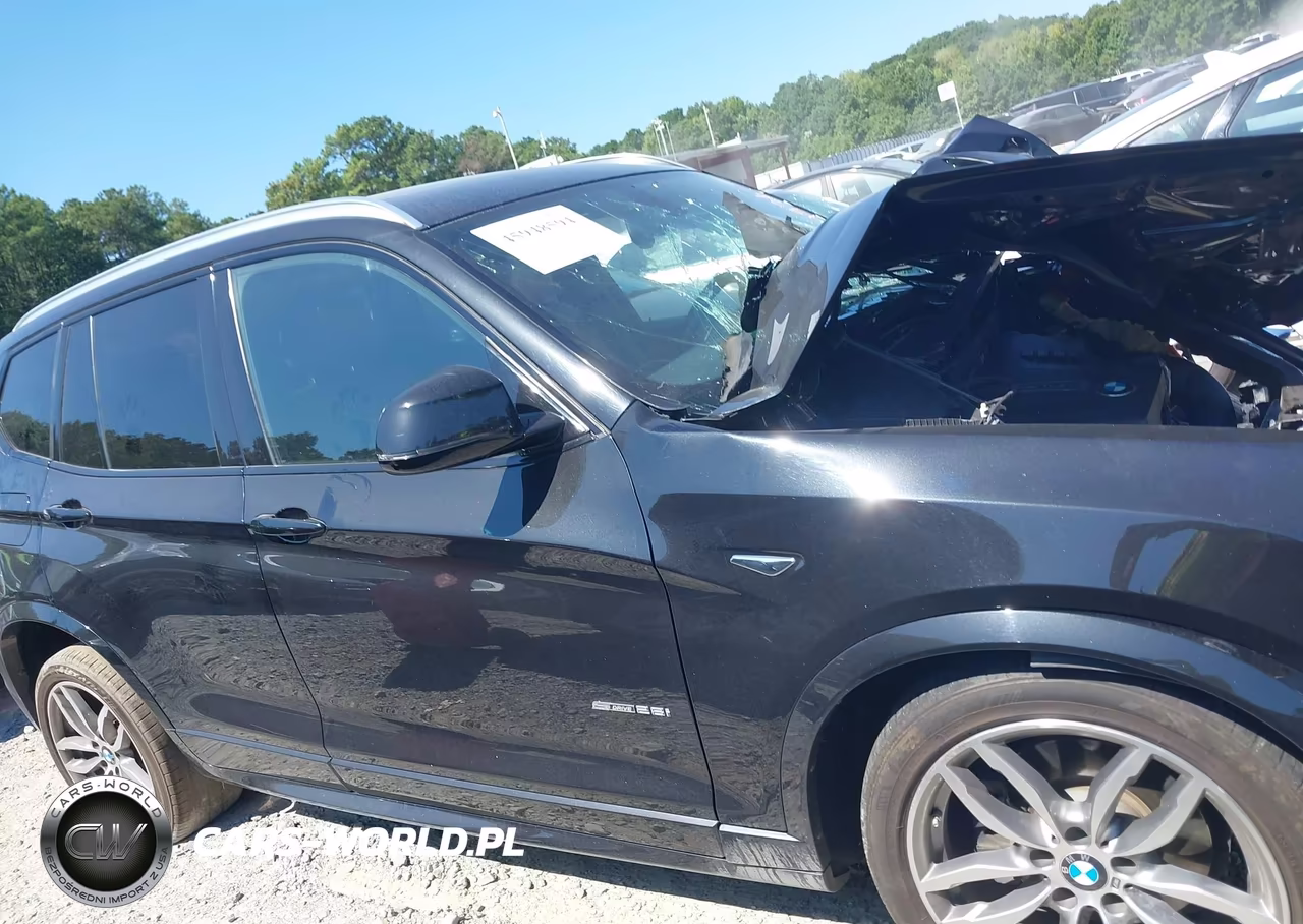 2017 BMW X3 Sdrive28I VIN:5UXWZ7C31H0X41976 - 13