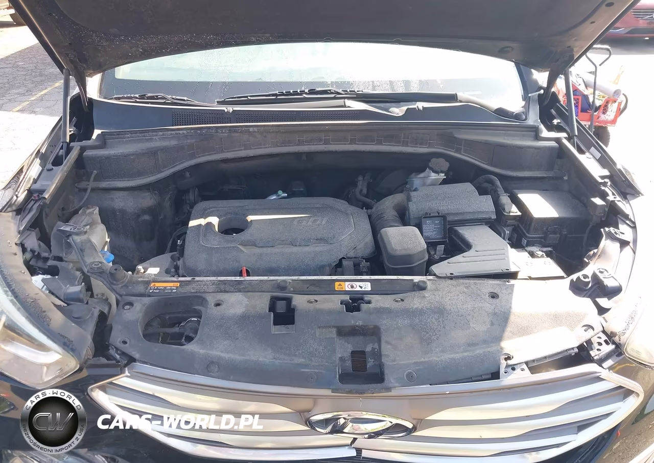 2017 Hyundai Santa Fe Sport 2.4L VIN:5XYZUDLB9HG445438 - 10
