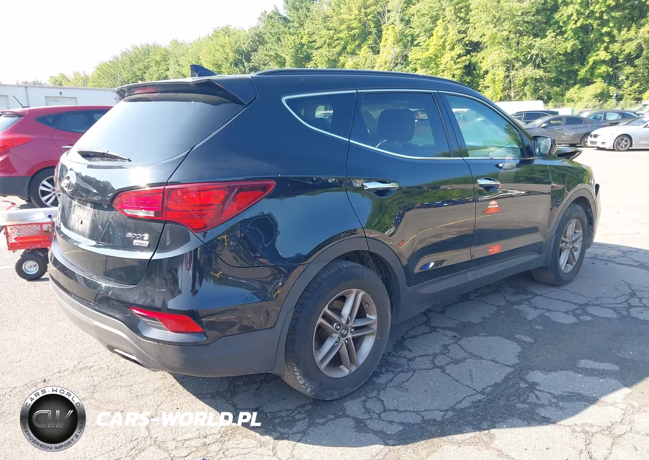 2017 Hyundai Santa Fe Sport 2.4L VIN:5XYZUDLB9HG445438 - 4