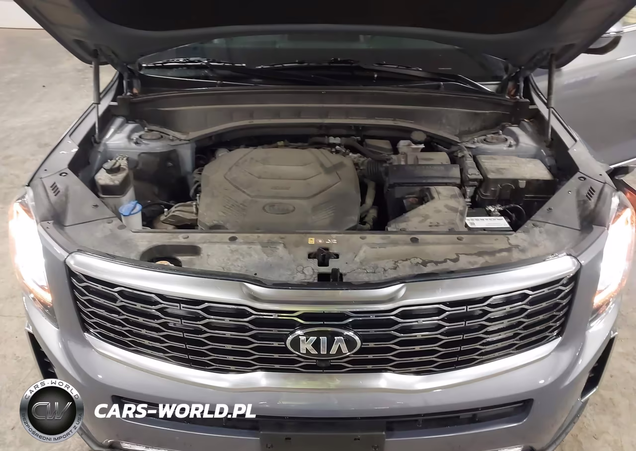 2020 Kia Telluride Sx VIN:5XYP5DHC1LG061023 - 10