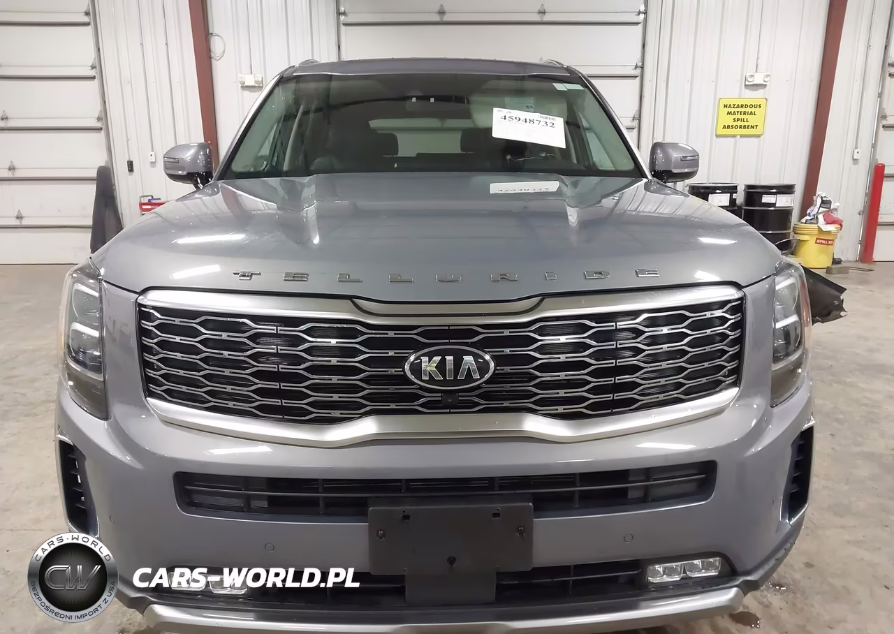 2020 Kia Telluride Sx VIN:5XYP5DHC1LG061023 - 12