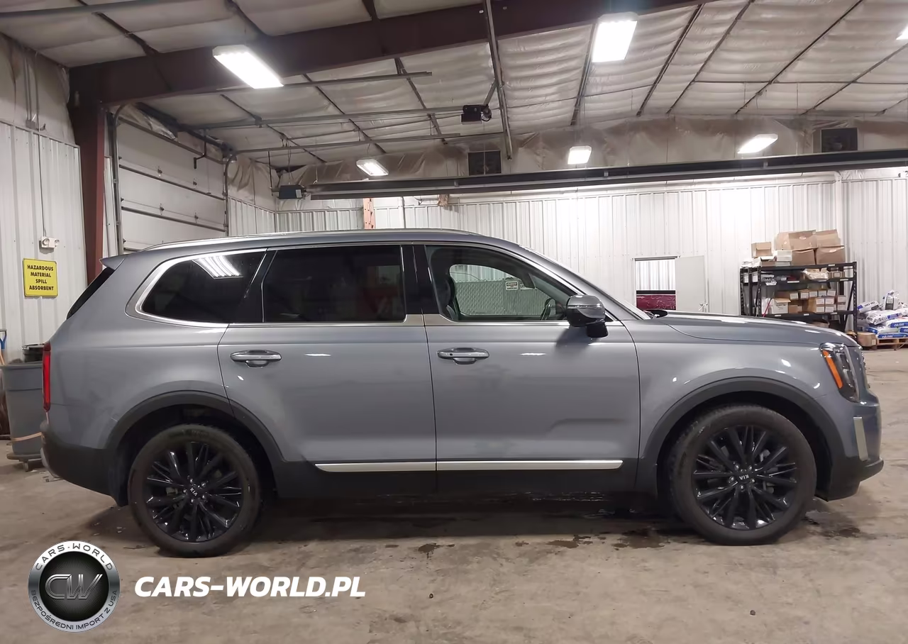 2020 Kia Telluride Sx VIN:5XYP5DHC1LG061023 - 13