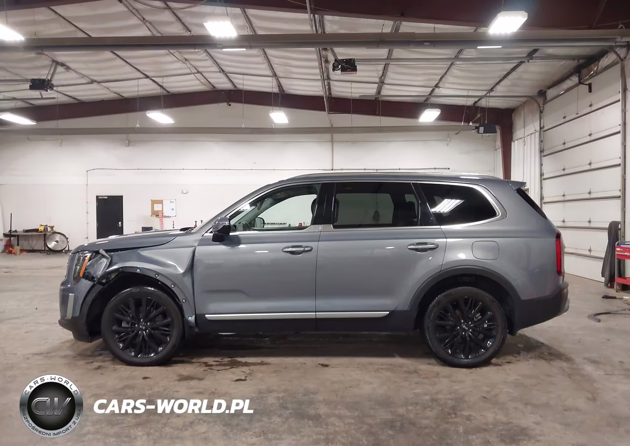 2020 Kia Telluride Sx VIN:5XYP5DHC1LG061023 - 14