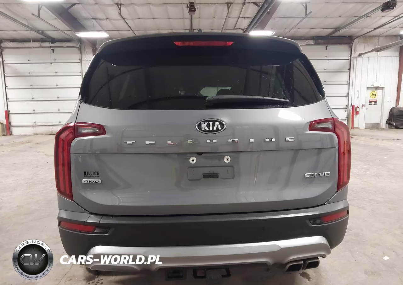 2020 Kia Telluride Sx VIN:5XYP5DHC1LG061023 - 16
