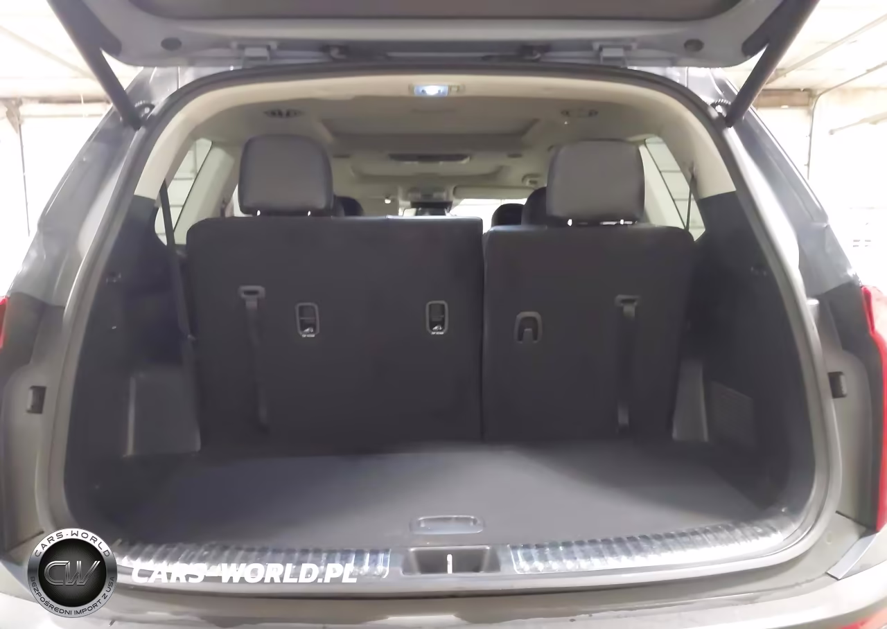 2020 Kia Telluride Sx VIN:5XYP5DHC1LG061023 - 17