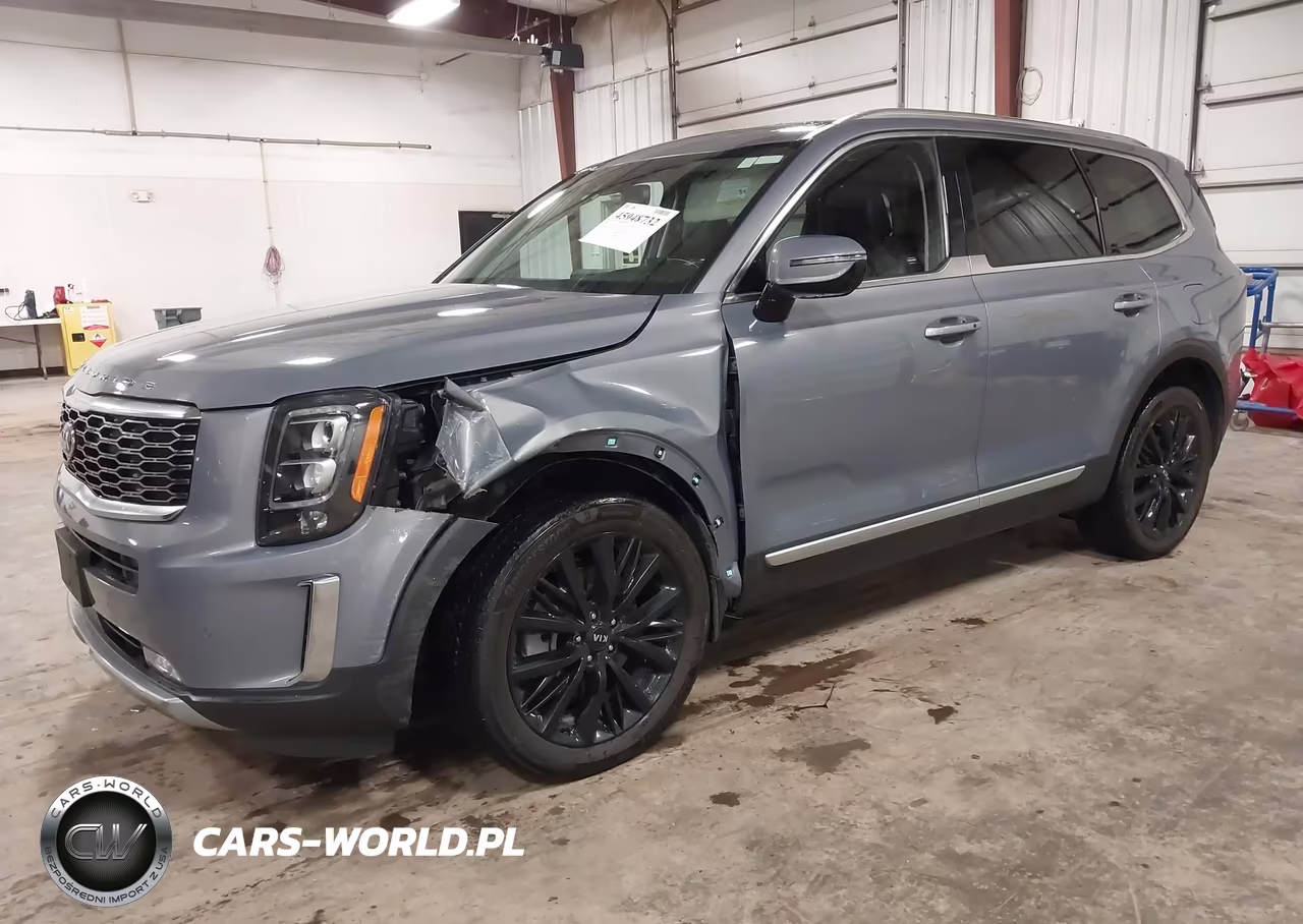 2020 Kia Telluride Sx VIN:5XYP5DHC1LG061023 - 2