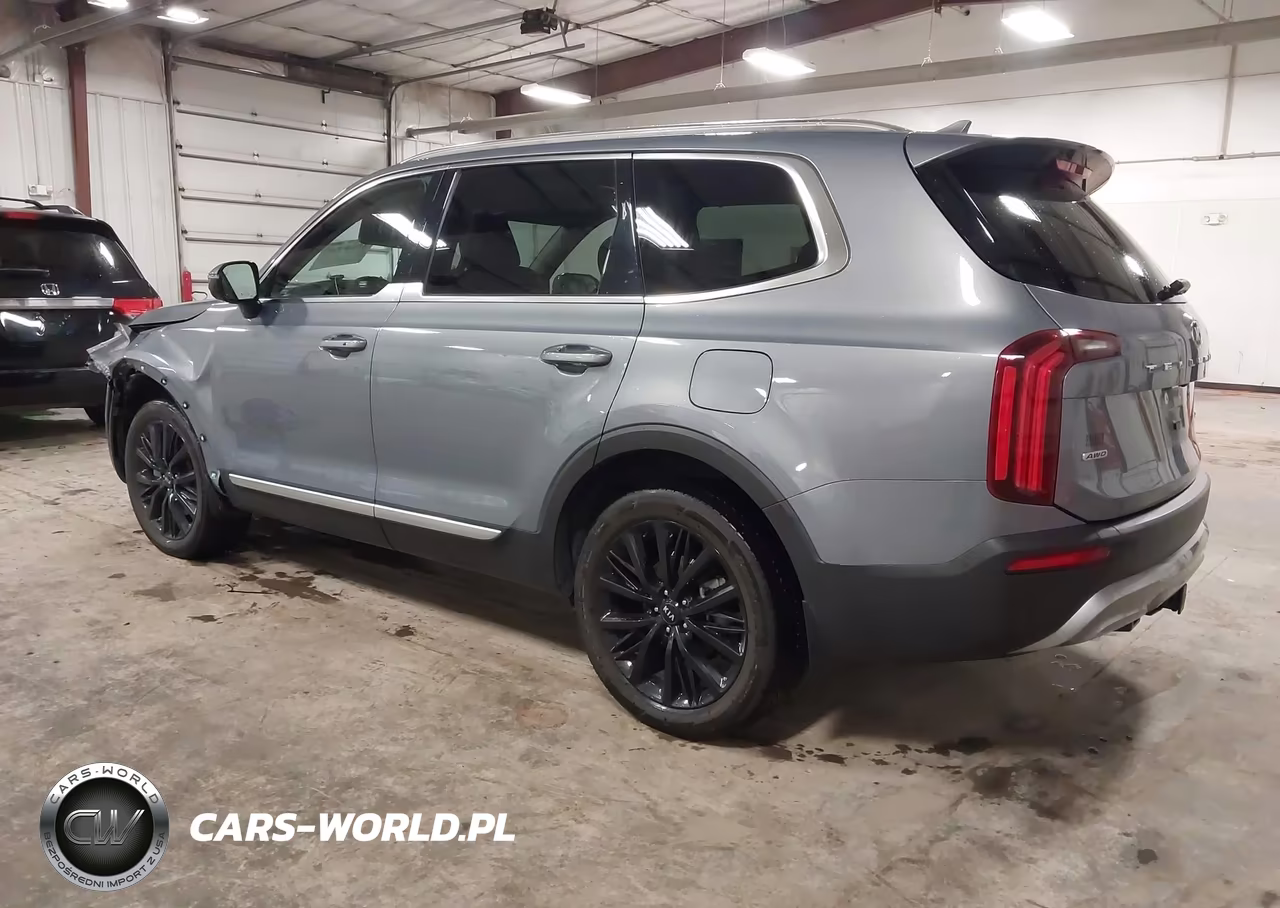 2020 Kia Telluride Sx VIN:5XYP5DHC1LG061023 - 3