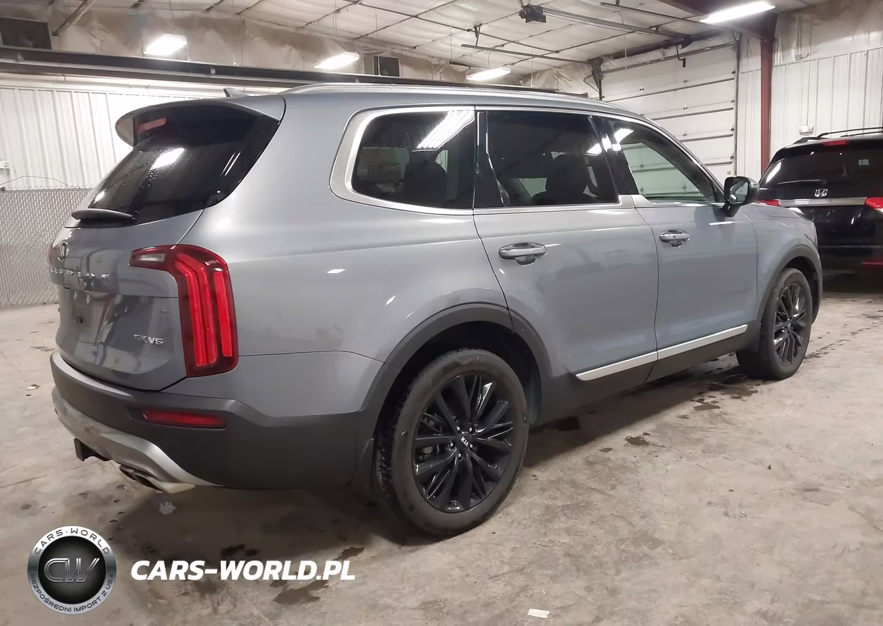 2020 Kia Telluride Sx VIN:5XYP5DHC1LG061023 - 4