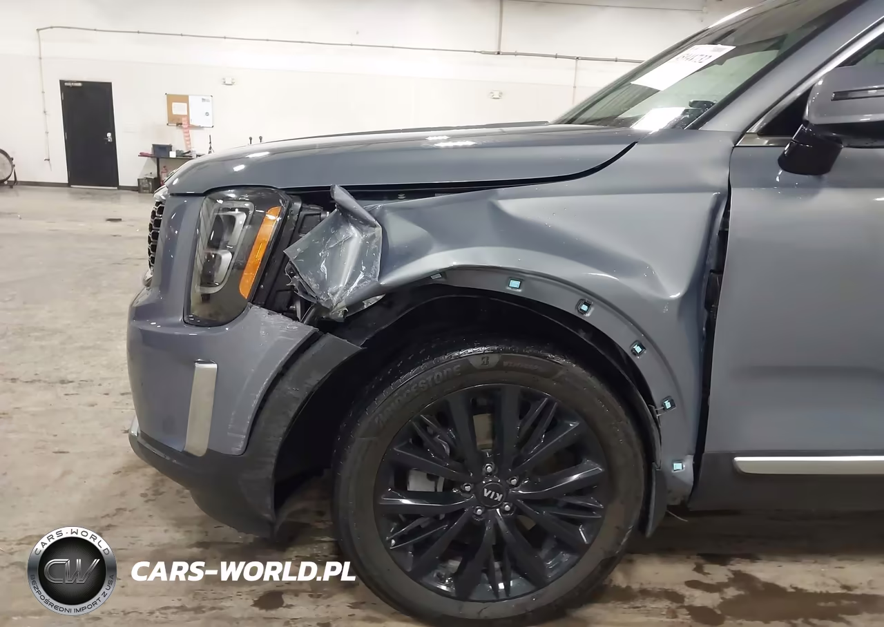2020 Kia Telluride Sx VIN:5XYP5DHC1LG061023 - 6