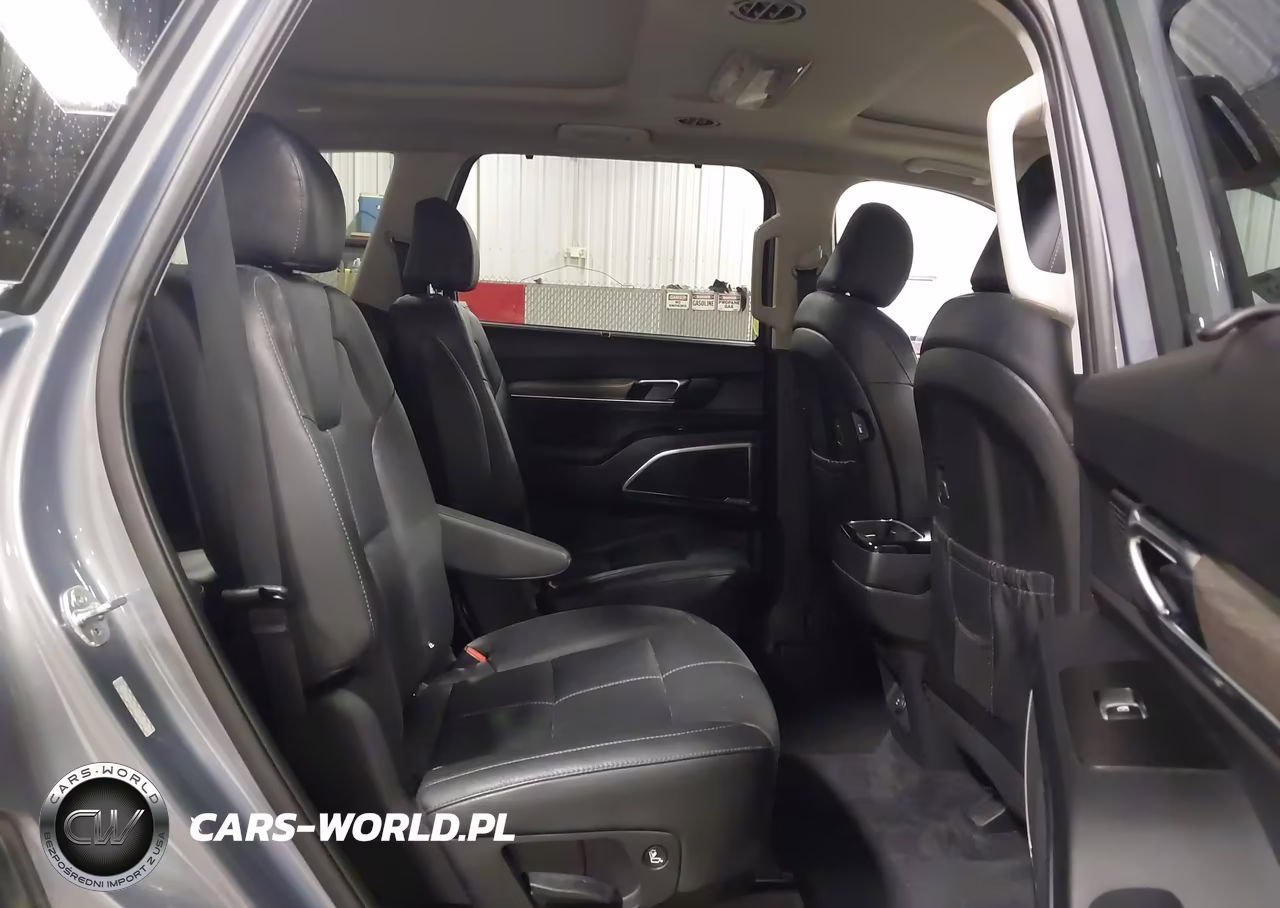 2020 Kia Telluride Sx VIN:5XYP5DHC1LG061023 - 8