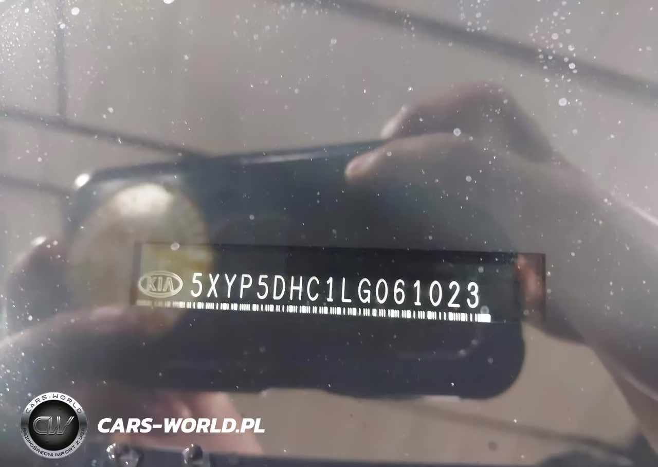 2020 Kia Telluride Sx VIN:5XYP5DHC1LG061023 - 9