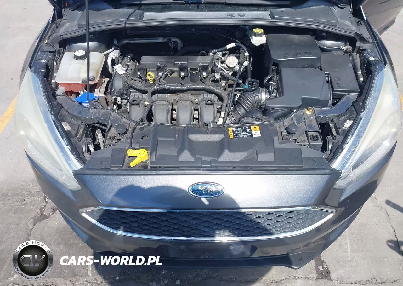 2017 Ford Focus Se VIN:1FADP3K25HL206718 - 10