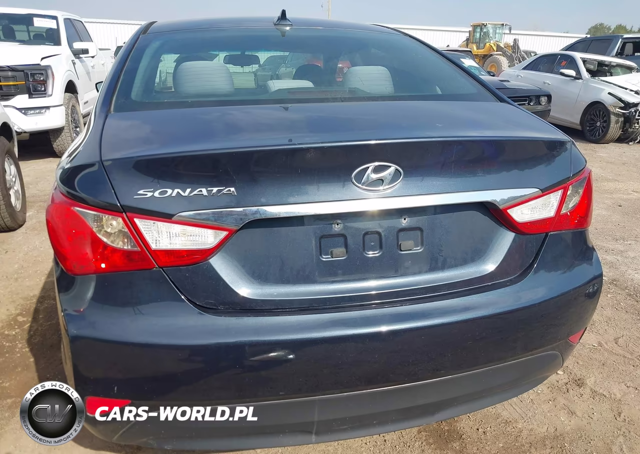 2014 Hyundai Sonata Gls VIN:5NPEB4AC6EH822392 - 17