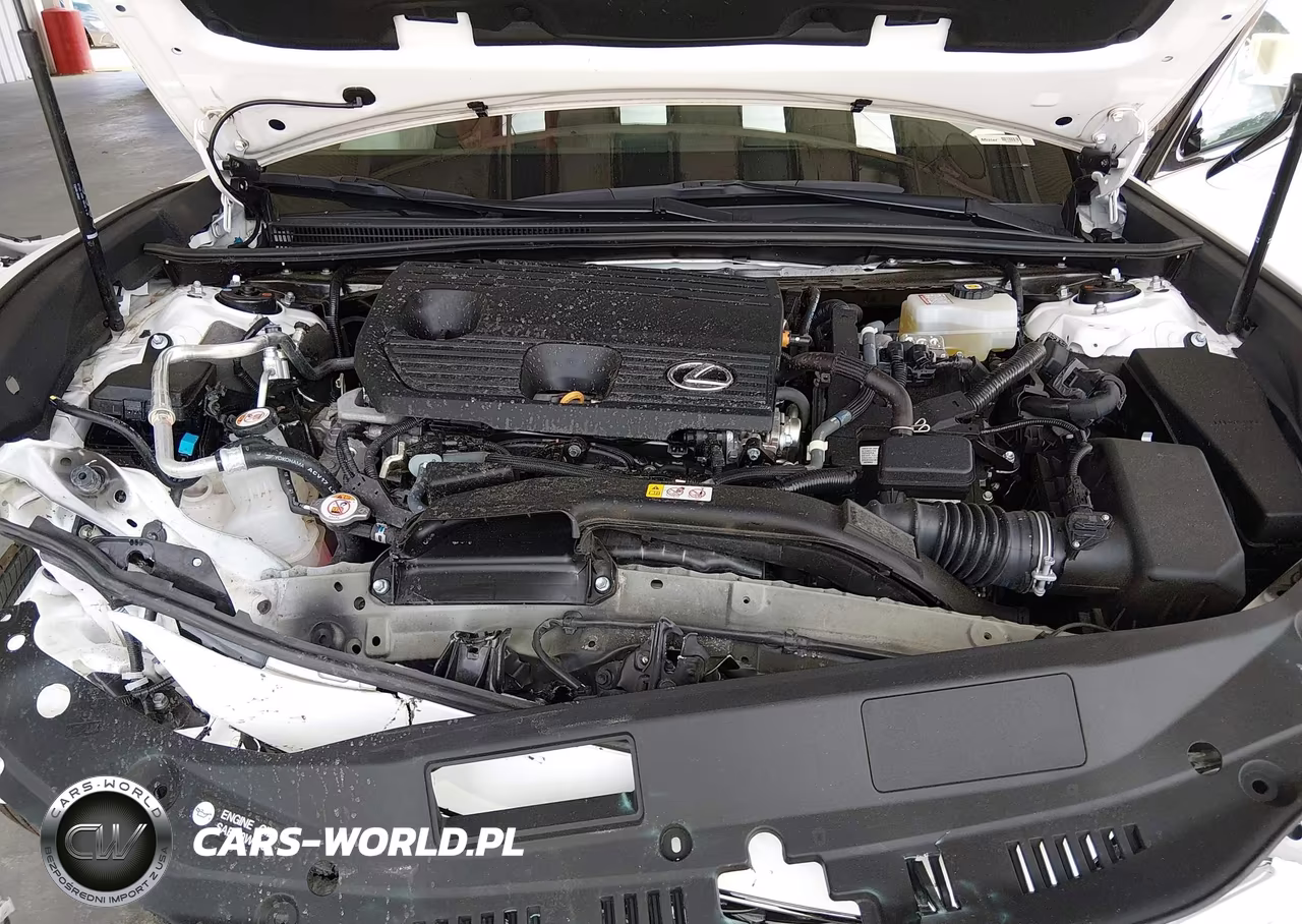 2022 Lexus Es 300H F Sport VIN:58AGA1C15NU018990 - 10