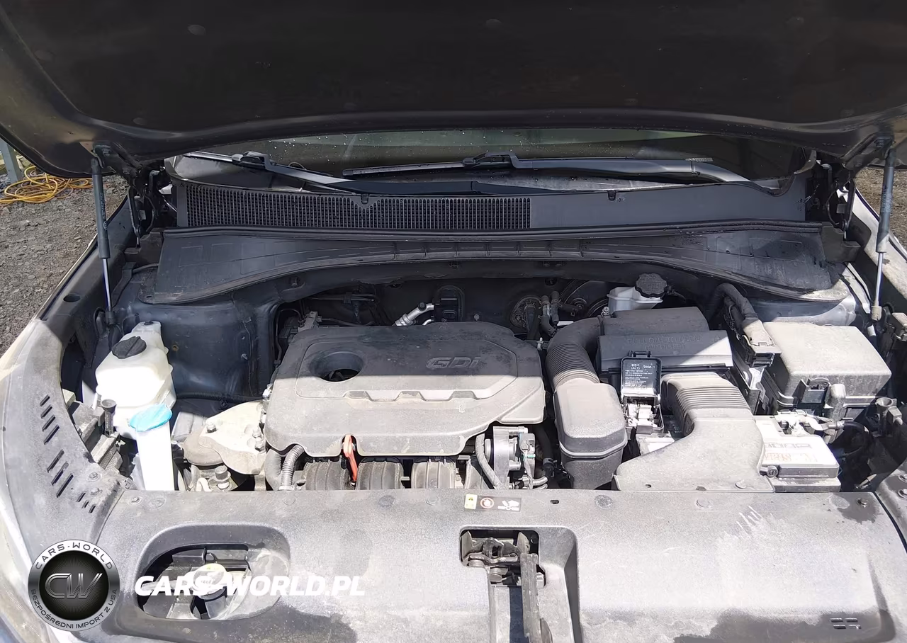 2019 Kia Sorento 2.4L Lx VIN:5XYPGDA34KG437006 - 10