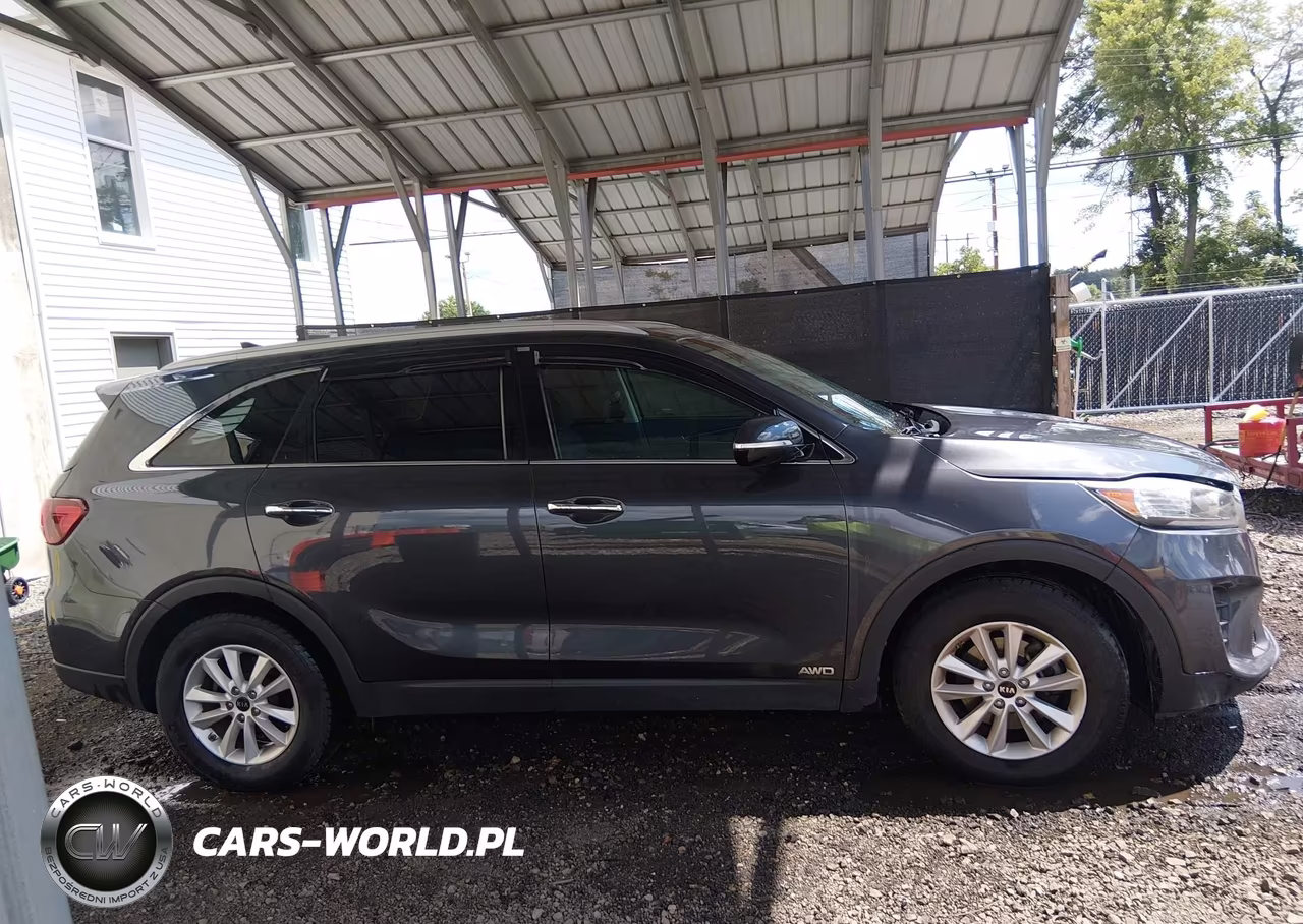 2019 Kia Sorento 2.4L Lx VIN:5XYPGDA34KG437006 - 13
