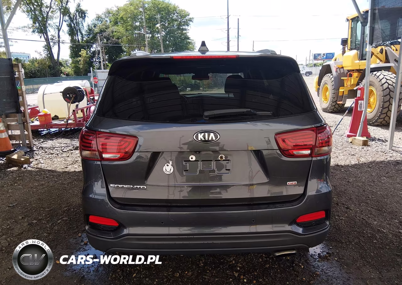 2019 Kia Sorento 2.4L Lx VIN:5XYPGDA34KG437006 - 16