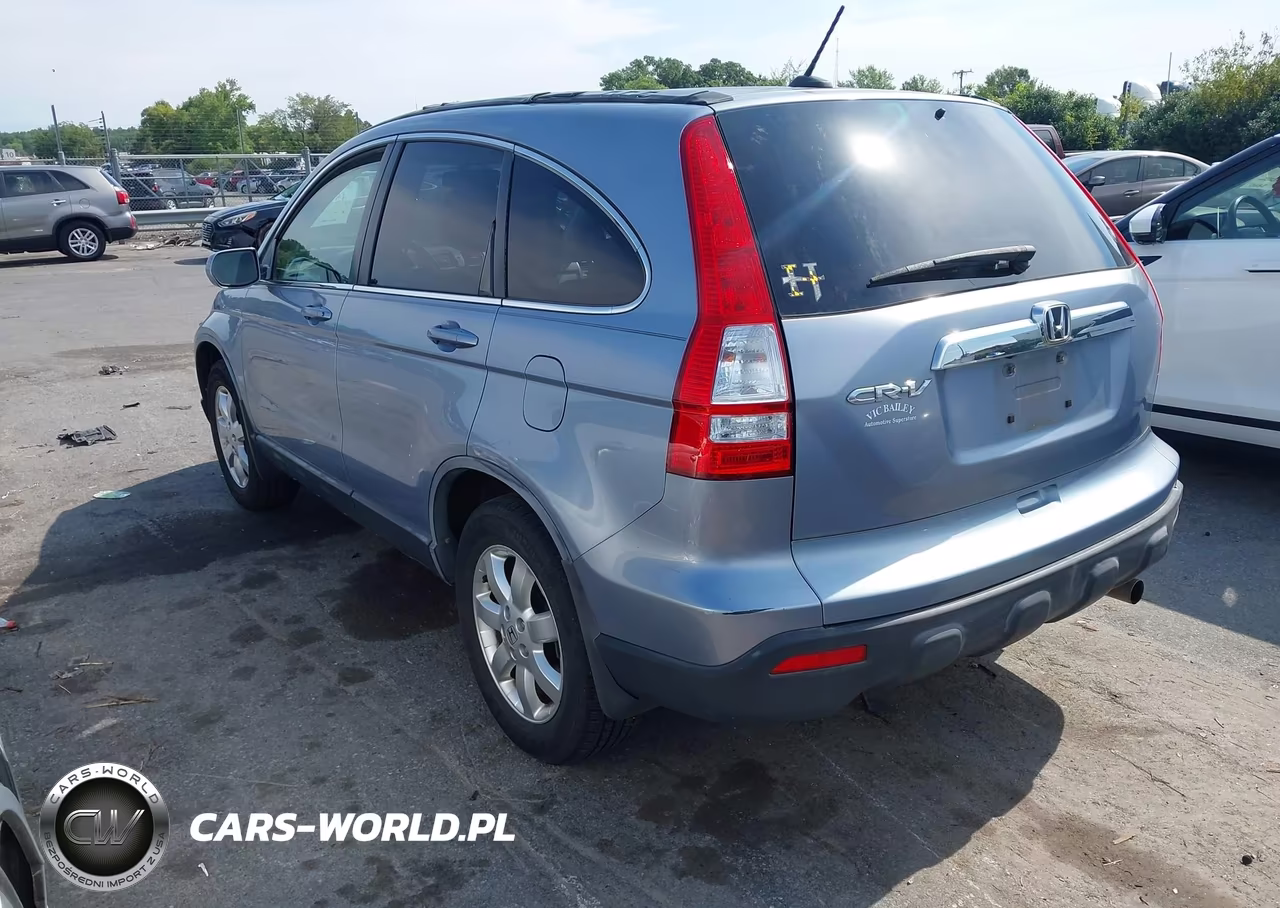 2009 Honda Cr-V Ex-L VIN:JHLRE38769C007450 - 3