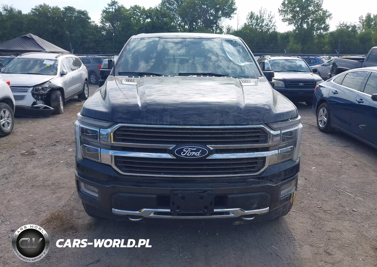 2024 Ford F-150 King Ranch VIN:1FTFW6L83RFB60820 - 12