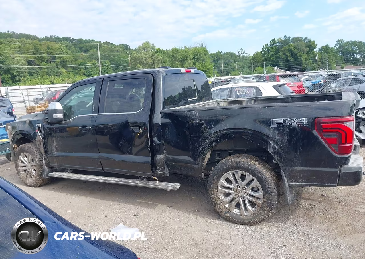 2024 Ford F-150 King Ranch VIN:1FTFW6L83RFB60820 - 14