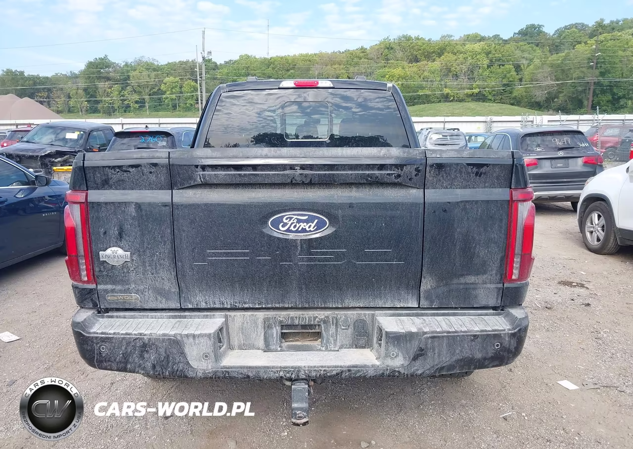 2024 Ford F-150 King Ranch VIN:1FTFW6L83RFB60820 - 16