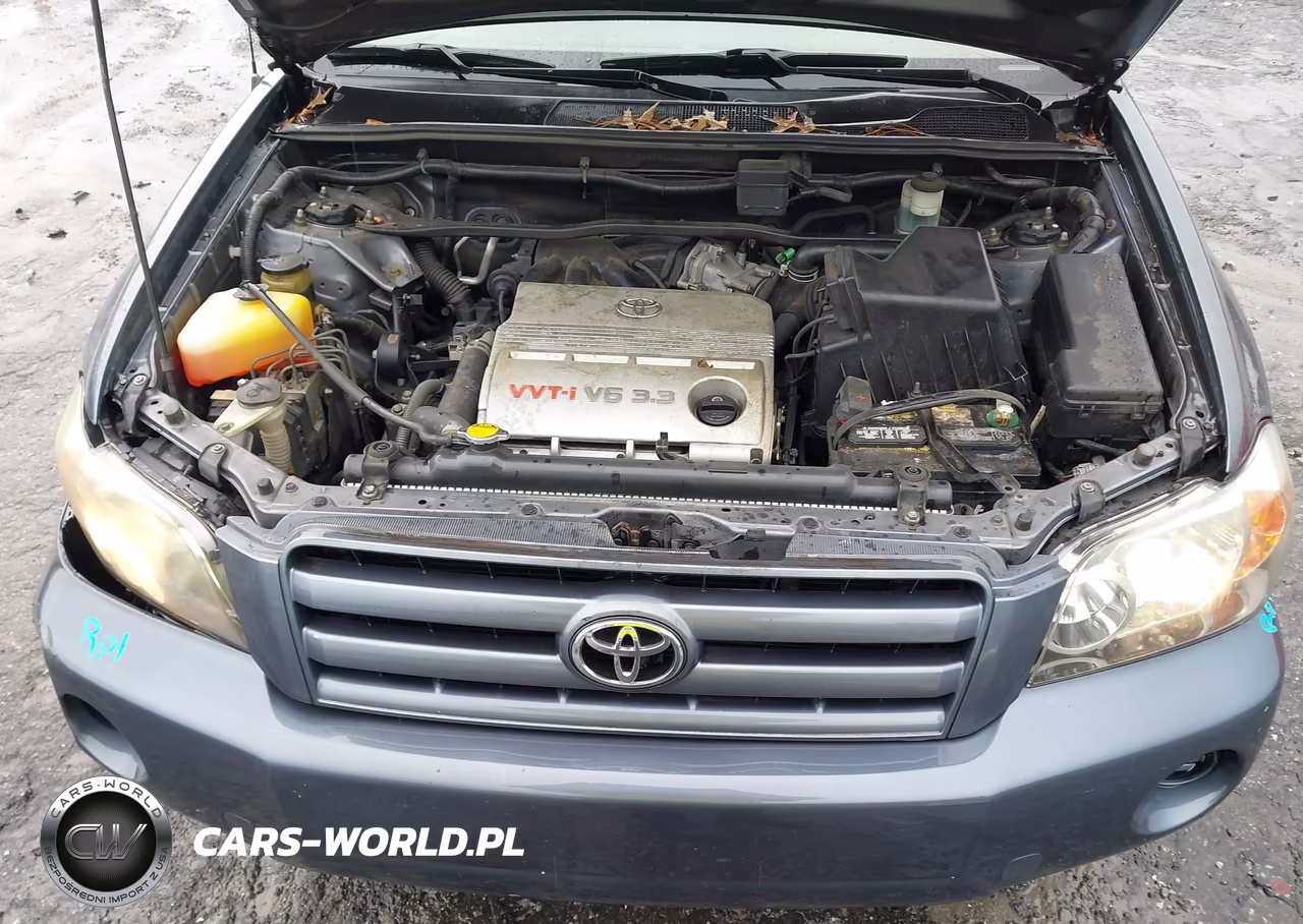 2004 Toyota Highlander V6 VIN:JTEGP21A040008243 - 10