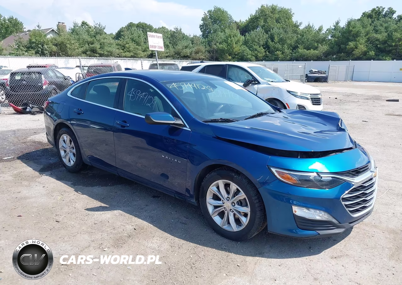 2019 Chevrolet Malibu Lt VIN:1G1ZD5ST1KF172630 - 1