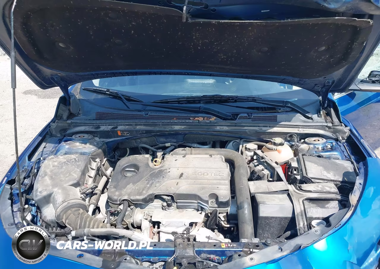 2019 Chevrolet Malibu Lt VIN:1G1ZD5ST1KF172630 - 10
