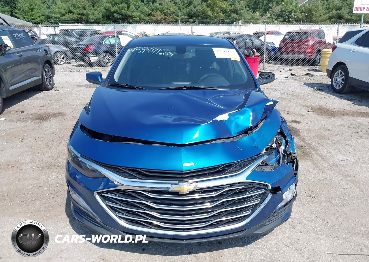 2019 Chevrolet Malibu Lt VIN:1G1ZD5ST1KF172630 - 12
