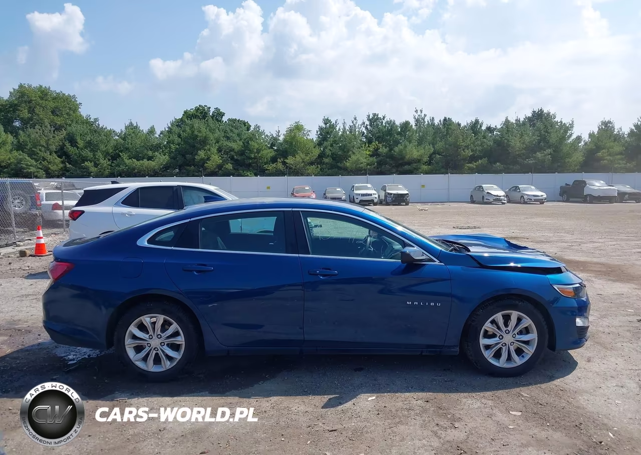 2019 Chevrolet Malibu Lt VIN:1G1ZD5ST1KF172630 - 13